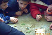 PICT0027.JPG