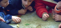 PICT0027.JPG