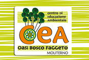 disegno fondo OK.jpg