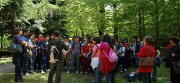 DSC00710.JPG