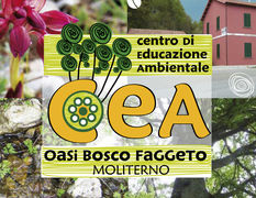 foto brochure.jpg